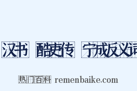 汉书·酷吏传·宁成反义词是什么意思的图片